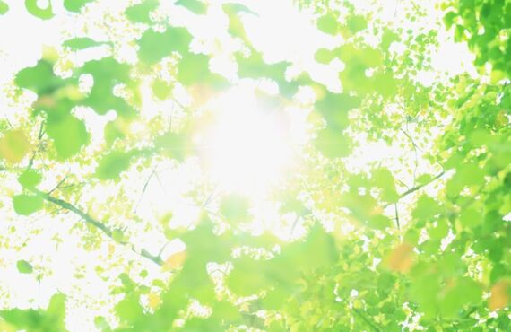 質問力が上がる！オンラインで学べるセルフコーチング